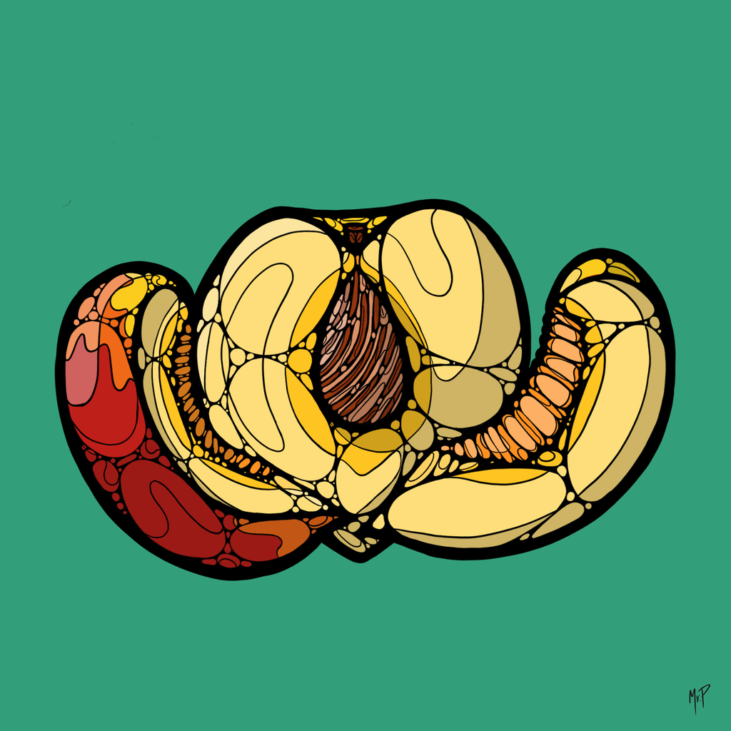 Pêche