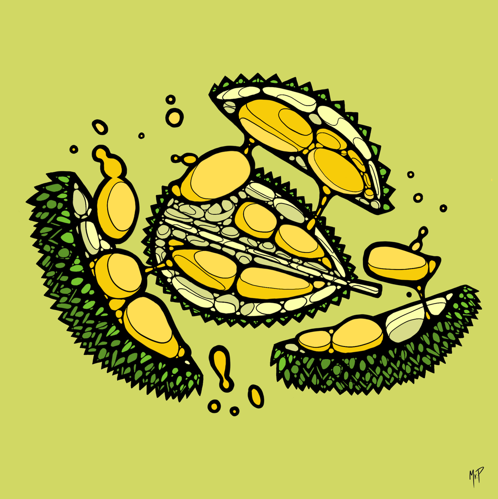 Durian (18)