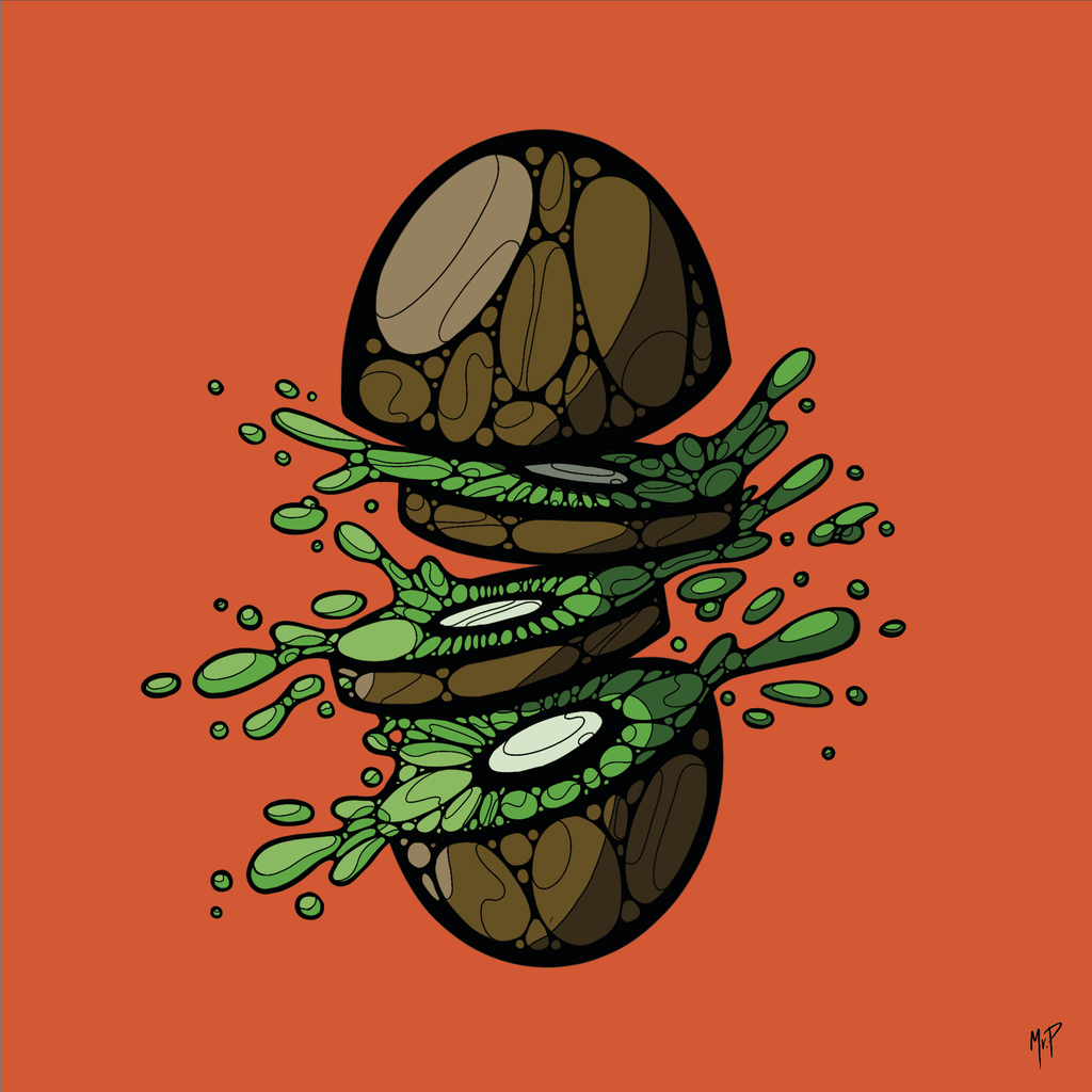 Kiwi