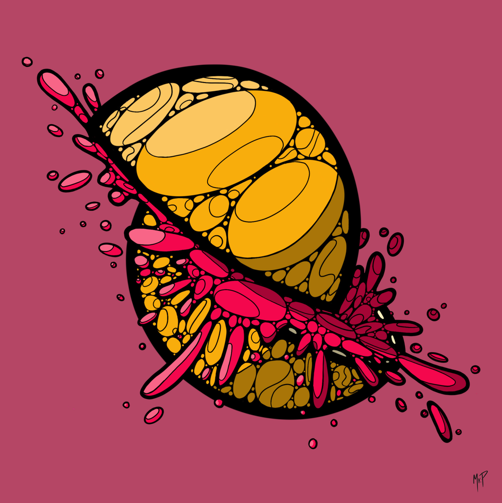 Pamplemousse